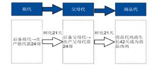 雞肉瘋狂漲價(jià)！餐企要如何應(yīng)對(duì)？【重慶火鍋底料批發(fā)】